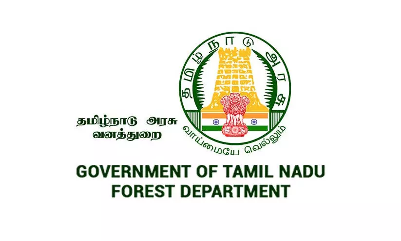 tamil nadu forest department