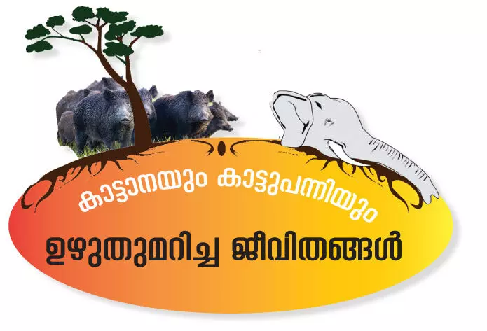 `കാട്ടാനയും കാട്ടുപന്നിയും ഉഴുതുമറിച്ച ജീവിതങ്ങൾ;നി​ല​മ്പൂ​ർ കാ​ട്ടി​ലെ കൊ​ല​വി​ളി...