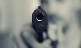 gun