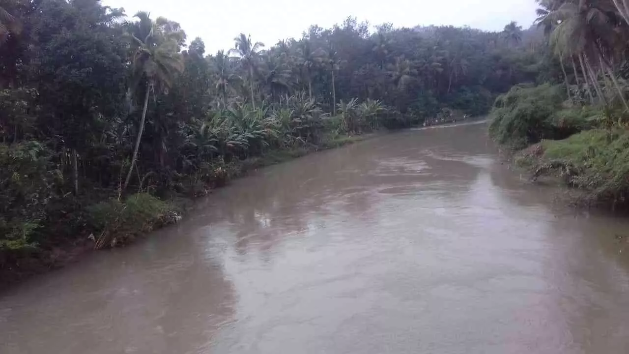 neyyar river