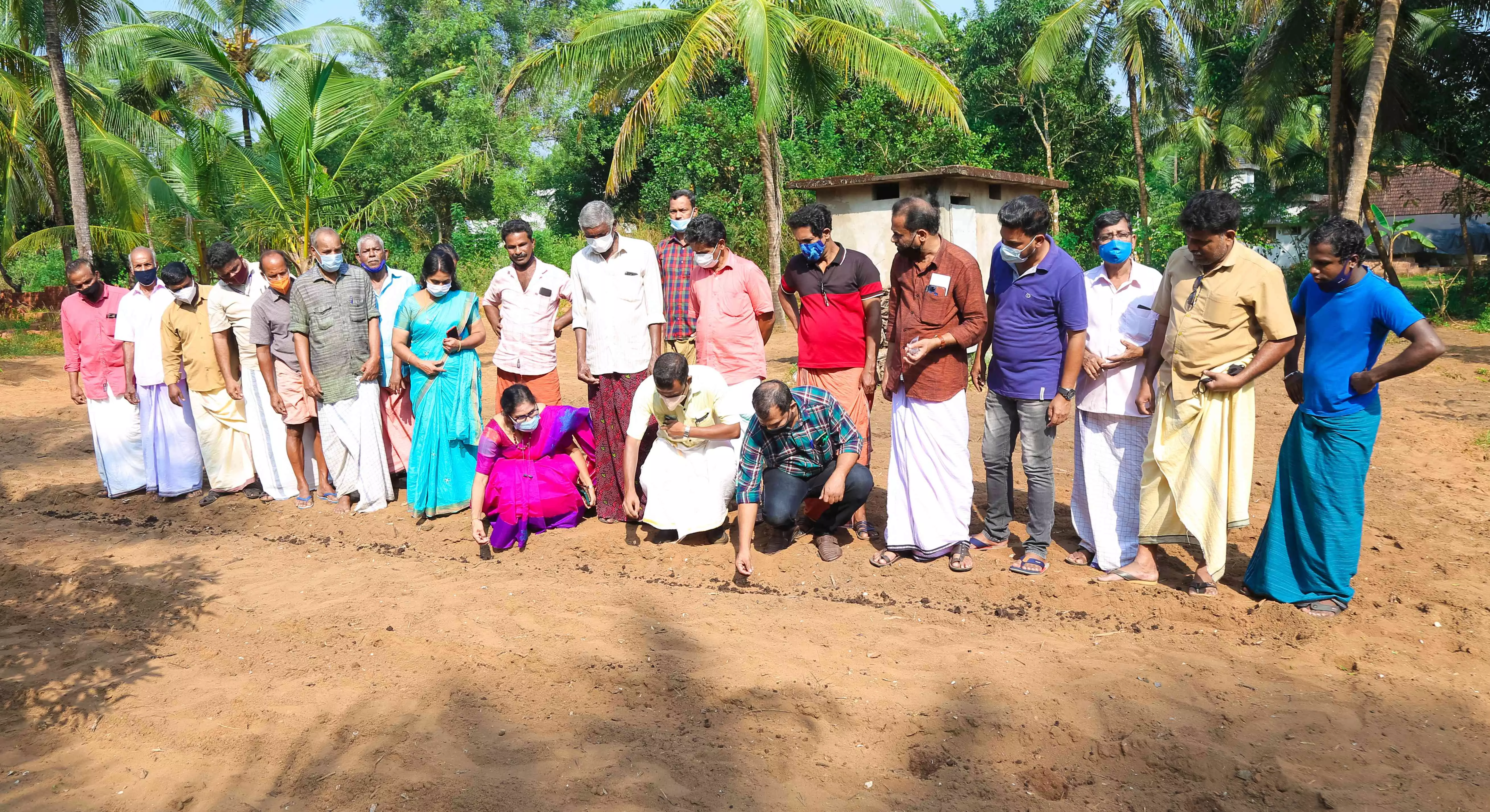 പച്ചക്കറി കൃഷി മത്സരം ആരംഭിച്ചു