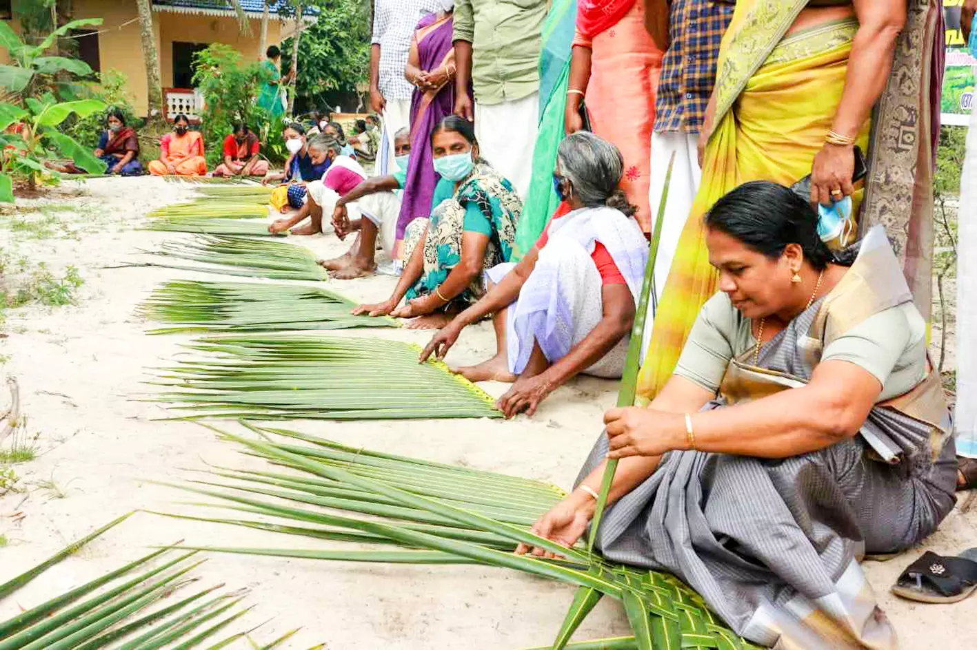 കേരഗ്രാമം പദ്ധതി: വേറിട്ടതായി ഓല മെടയൽ മത്സരം