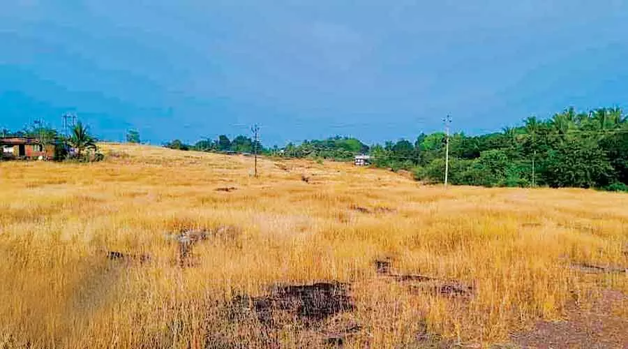 സർക്കാർ അംഗീകാരം നൽകിയിട്ട് പത്തുവർഷം; പെരിയ ചെറു വിമാനത്താവളത്തിന്​ തുടർ നടപടിയില്ല    ​