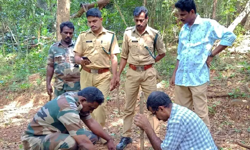 ശെന്തുരുണിയടക്കം പശ്ചിമഘട്ടത്തിലെ കടുവ കണക്കെടുപ്പ് തുടങ്ങി