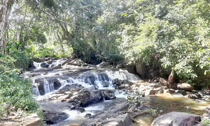 Irappinkoottam waterfall