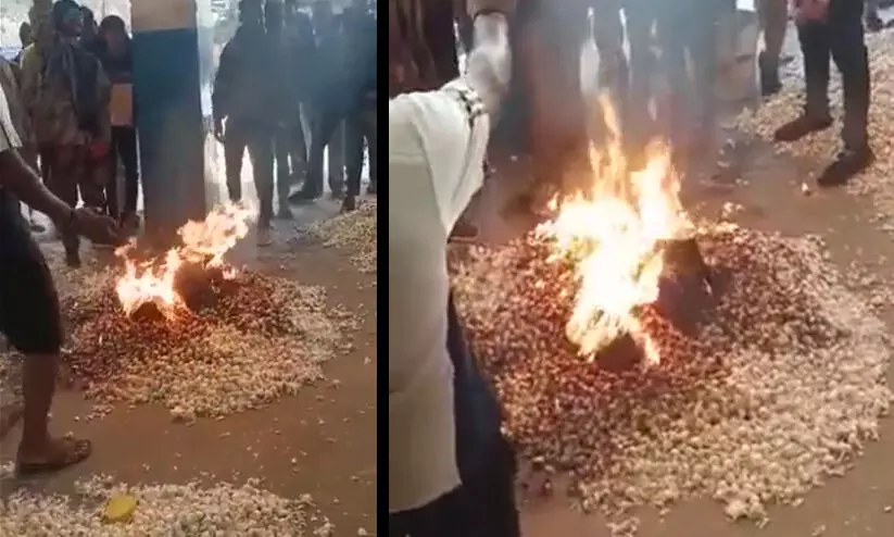 ചന്തയിലെത്തിക്കാനുള്ള തുക പോലും വിലയായി കിട്ടിയില്ല; വെളുത്തുള്ളിക്ക്​ തീയിട്ട്​ കർഷകൻ