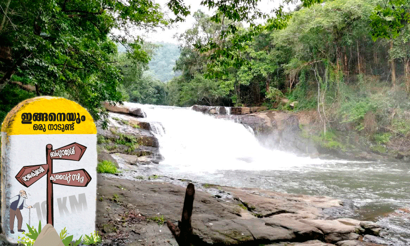 തൊ​മ്മ​ൻ മ​റ​ഞ്ഞു; പി​ന്നെ തൊ​മ്മ​ൻ​കു​ത്താ​യി