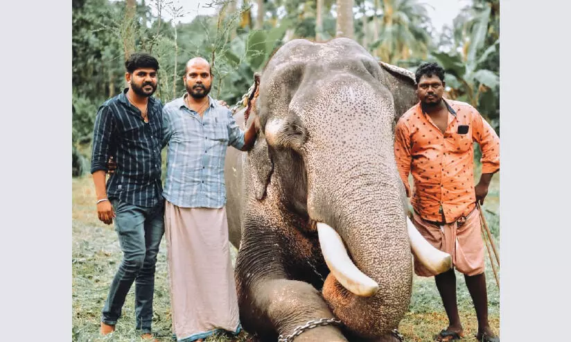 കളിചിരിക്ക്​ ഇനി ഗണപതിയില്ല; തേങ്ങലോടെ ആനപ്രേമികൾ