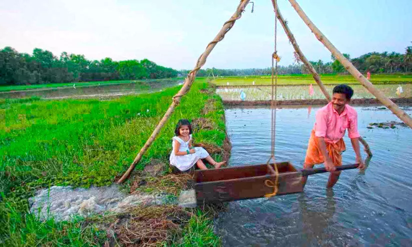 പിലിക്കോ​ട്ടെ കൃഷിക്ക്​ ഇപ്പോഴുമുണ്ട്​ ഏത്താംകൊട്ടയും ഉവ്വേണിയും