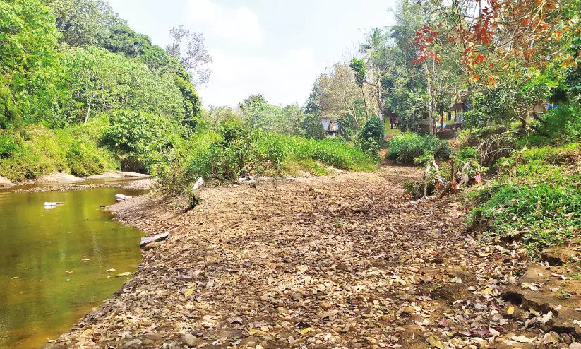 മുപ്ലി പുഴയിലെ മണ്‍തുരുത്ത് ആദിവാസികള്‍ക്ക് ദുരിതമായി