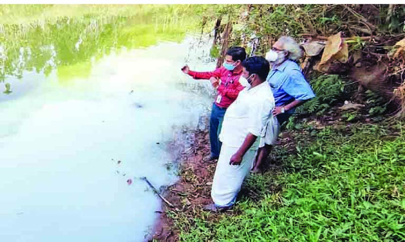 അഗസ്ത്യമുഴി തോട്ടിൽ പെയിന്റ് കലർത്തി മലിനമാക്കി