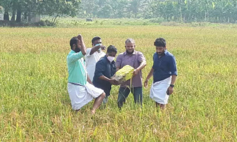 അങ്കമാലി പാറക്കടവിൽ കെ-റെയിൽ സര്‍വേക്കല്ലുകള്‍ പിഴുതെറിഞ്ഞു