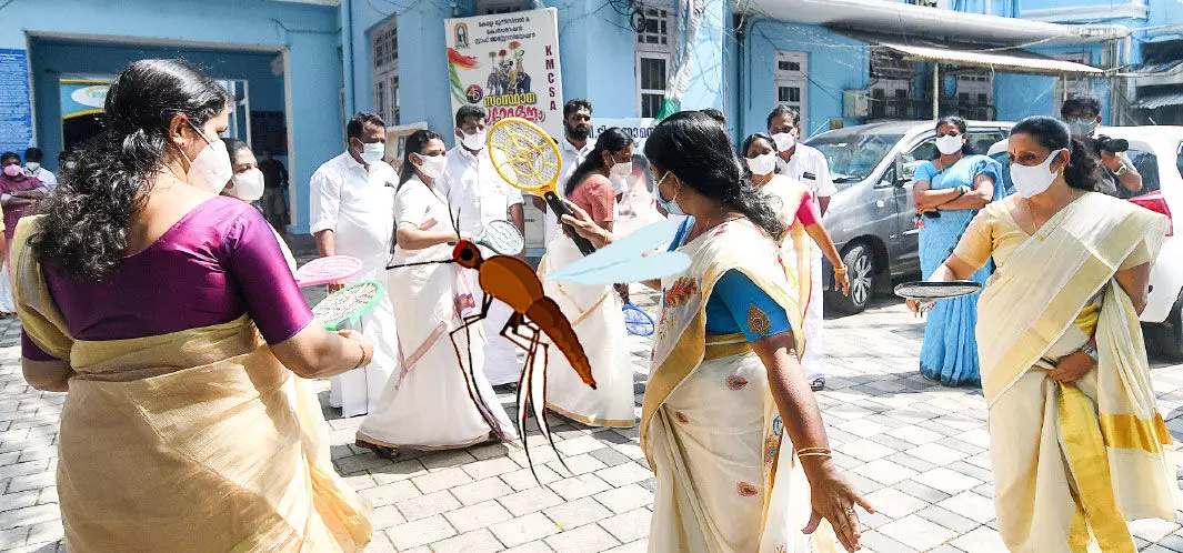 Mosquito infestation rampant Locals protest