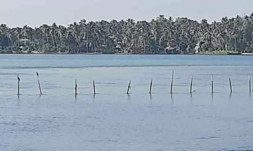 പരവൂർ കായലിൽ കുറ്റിവല ഉപയോഗിച്ച്​ മത്സ്യബന്ധനം സജീവം; അധികൃതർ കണ്ട മട്ടില്ല