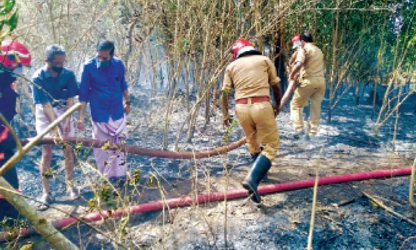 കൈതപ്രത്ത് അഗ്നിബാധ: റ​ബ​റും ക​ശു​മാ​വും ക​ത്തി​ന​ശി​ച്ചു