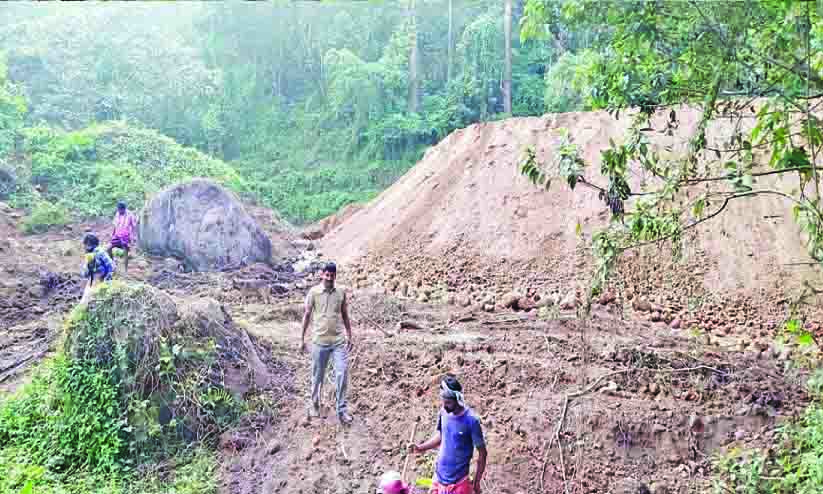 ബാണാസുരമലയിലെ അനധികൃത നിര്‍മാണം; റവന്യു റിപ്പോര്‍ട്ടില്‍ നടപടിയില്ല