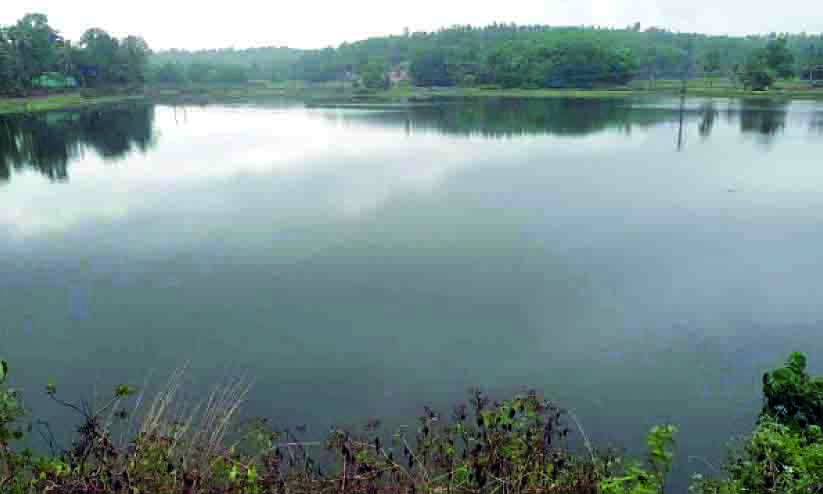 പഴഞ്ചിറയുടെ പ്രത്യേകതകൾ തേടി ജൈവ വൈവിധ്യ പഠനം