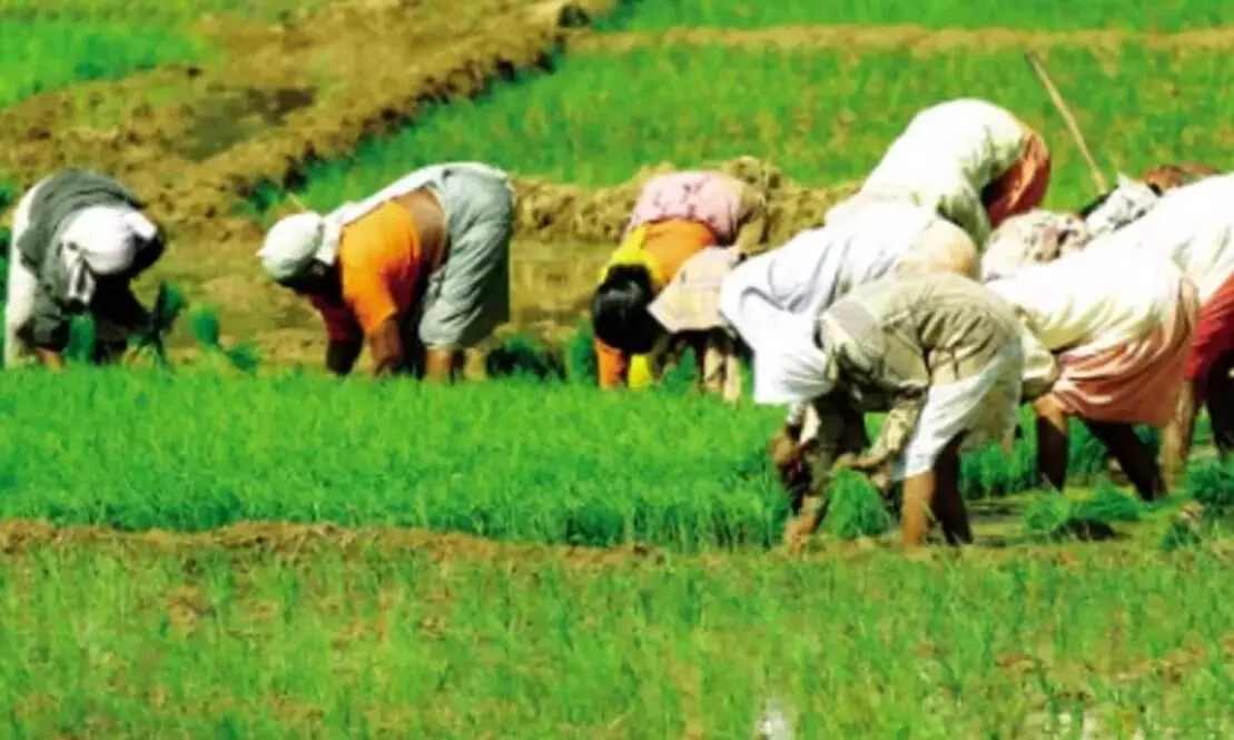 agricultural groups