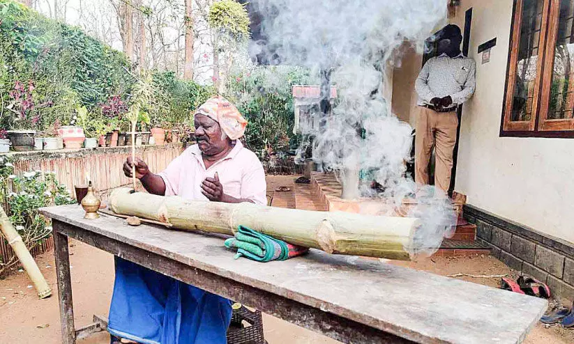 An immigrant farmer with a bamboo cannon to chase an elephant