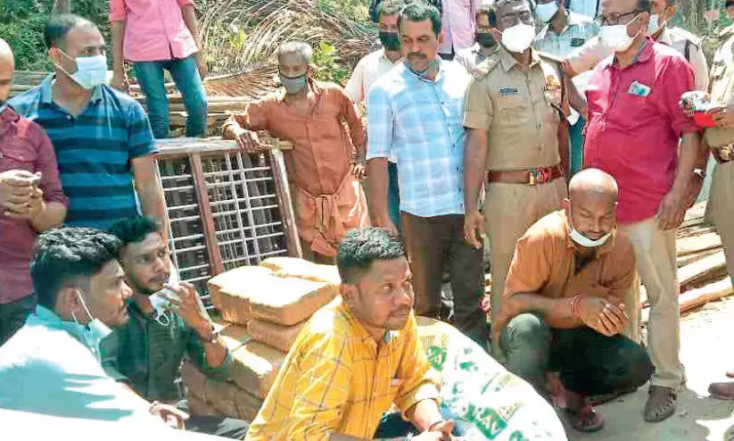 വടക്കഞ്ചേരി ആമക്കുളത്ത് ഒന്നര കോടിയുടെ കഞ്ചാവ് വേട്ട