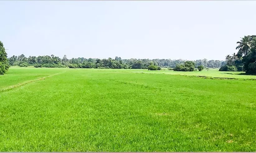 aranmula aiport