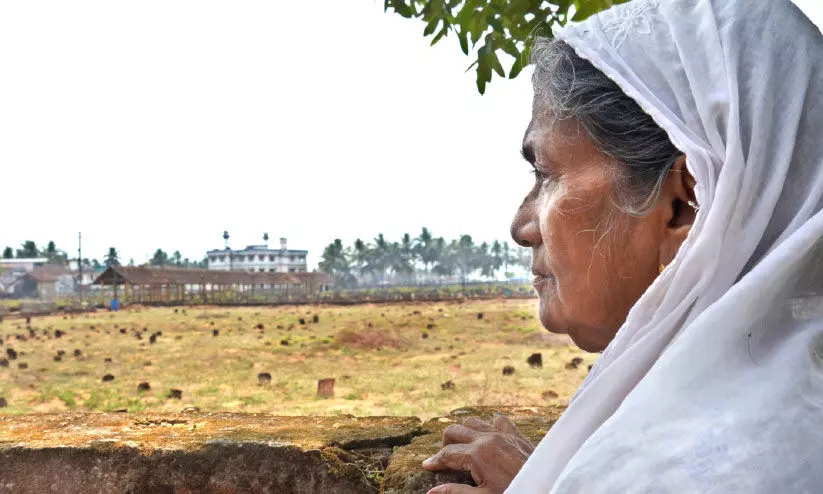 കൺമുന്നിൽ ഏഴു മക്കളുടെ മീസാൻ കല്ലുകൾ; തളരാതെ പാത്തുമ്മക്കുട്ടി