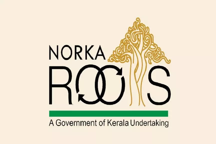 norka roots