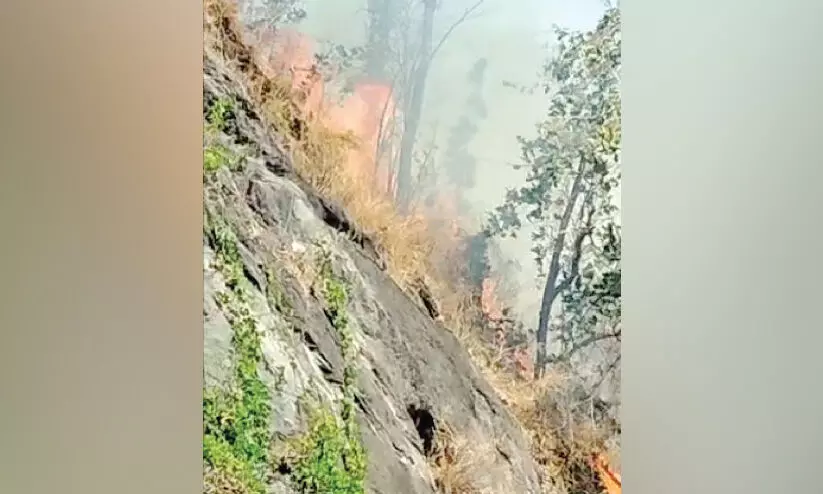 കാന്തലാട് മലയിൽ തീ പിടിച്ച് എട്ട് ഏക്കറോളം സ്ഥലം കത്തിനശിച്ചു