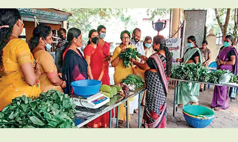 Kudumbashree Sangha Krishi Model