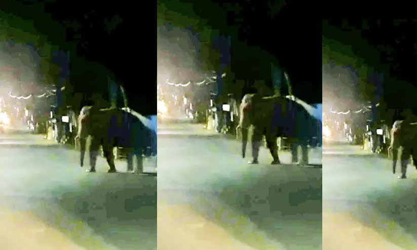 Wild Elephant again on the state highway