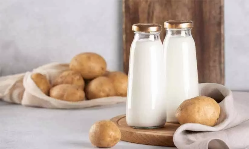 potato milk