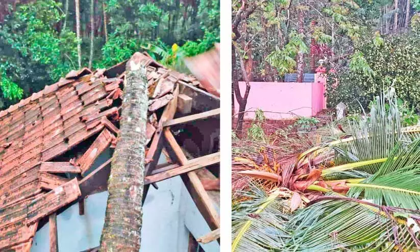 ശക്തമായ മഴ‍യും കാറ്റും; മലയോരത്ത് വ്യാപക നാശനഷ്ടം