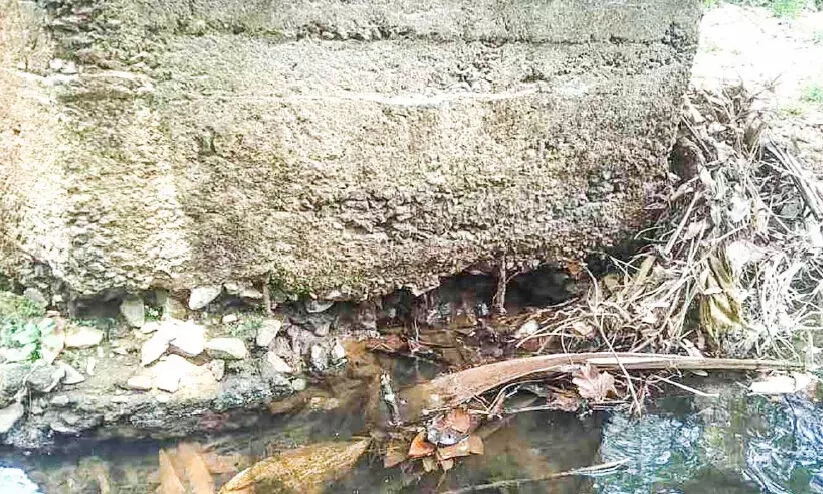 നടപ്പാലം കുലുങ്ങുന്നു; കുലുക്കമില്ലാതെ അധികൃതർ