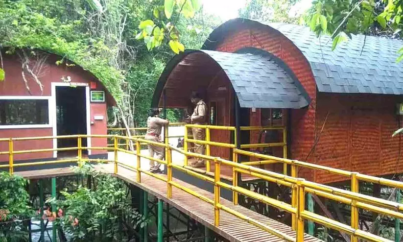 Bamboo huts