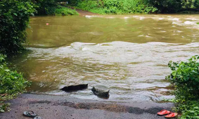 തൂക്കുപാലം തകർന്നു; ഏരുത്തുകടവിൽ മറുകരയെത്താൻ മാർഗമില്ല