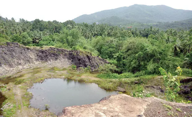 ബഫർ സോൺ: വനസംരക്ഷണത്തിന് ആവശ്യമെന്ന് പരിസ്ഥിതിവാദികൾ