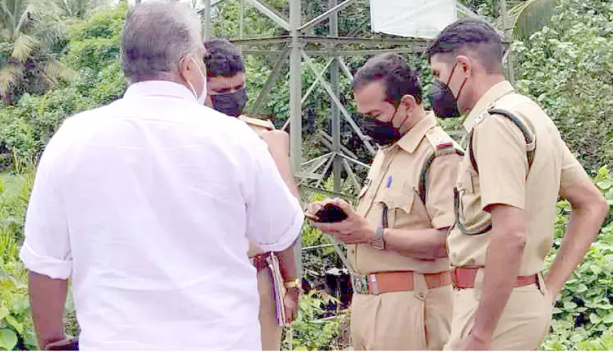 ആ​ന​ച്ചാ​ലി​ൽ ക​ണ്ട​ൽ​ക്കാ​ട് നി​ക​ത്തി​യ സം​ഭ​വം: പ​രി​ശോ​ധ​ന​യു​മാ​യി വ​നം വ​കു​പ്പ്