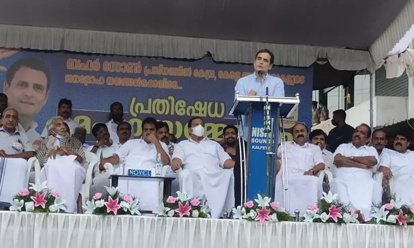 ബഫർസോൺ: മുഖ്യമന്ത്രിക്കെതിരെ രാഹുൽ ഗാന്ധി; ആശയക്കുഴപ്പം ഉണ്ടാക്കരുത്, കത്തയച്ചിട്ട് മറുപടി നൽകിയില്ല