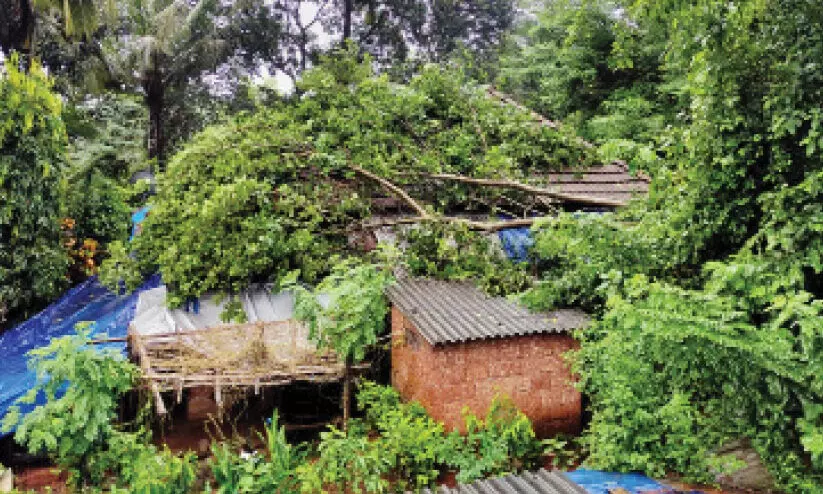 ശ​ക്ത​മാ​യ മ​ഴ: ക്വാറികളുടെ പ്രവര്‍ത്തനം നിര്‍ത്തിവെക്കണം -ജില്ല കലക്ടര്‍