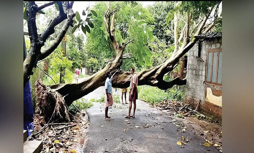 ചുഴലിയിൽ കറങ്ങി ജില്ല