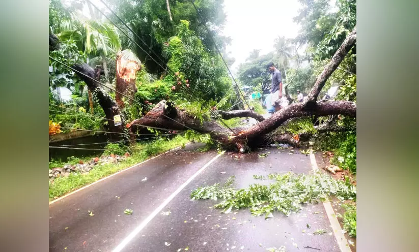 കൊ​ടു​വ​ള്ളി മേഖലയിൽ മഴയിൽ നാശം