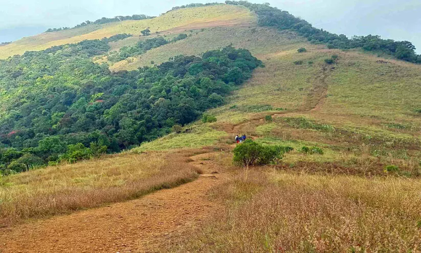 വിലക്കില്ല; കാഴ്ച നുകരാൻ പൈതൽമലയിലേക്ക് വരാം...