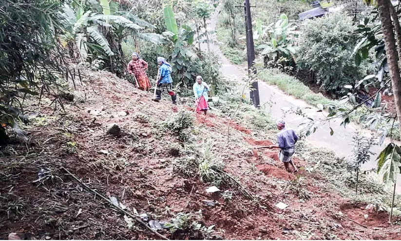 തരിശ് ഭൂമിയില്‍ വനവത്കരണത്തിന് പഞ്ചായത്ത്; പ്രതിഷേധവുമായി ജനം