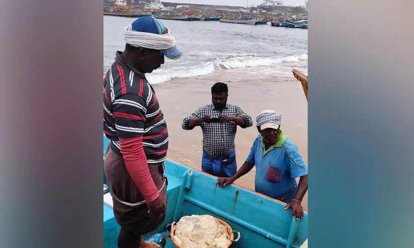 മത്സ്യത്തൊഴിലാളികളുടെ വലയിൽ കുടുങ്ങി അപൂർവ വസ്തു