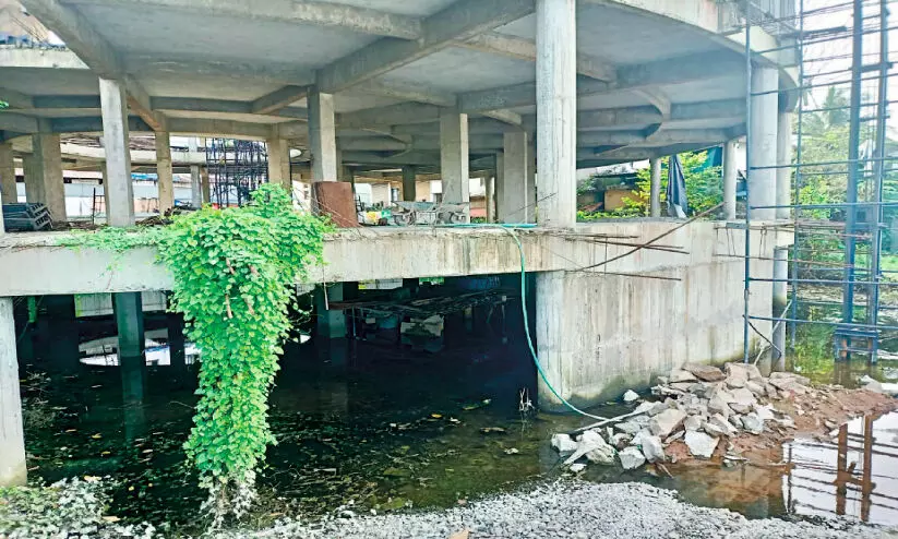 നിർമാണം ഇഴയുന്നു: കൊതുകുവളർത്തൽ കേന്ദ്രമായി മലപ്പുറം നഗരസഭ മാർക്കറ്റ് കെട്ടിടം