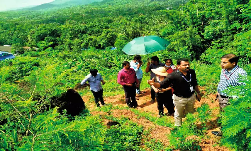 അ​ഞ്ചേ​ക്ക​റി​ലെ വ​ന​വ​ത്ക​ര​ണ​വും പ​ച്ച​ത്തു​രു​ത്തും   കേ​ന്ദ്ര സം​ഘം സ​ന്ദ​ർ​ശി​ച്ചു