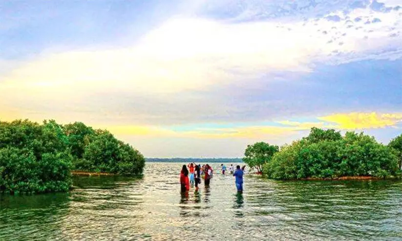 സാ​മ്പ്രാ​ണി​ക്കോ​ടി തു​റ​ക്കാ​ൻ ന​ട​പ​ടി വേ​ണ​മെ​ന്ന്; അടച്ചിട്ട്​ ആഴ്ചകൾ