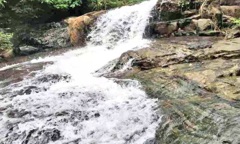 സഞ്ചാരികൾക്ക് മികച്ച  കാഴ്ചാനുഭവങ്ങളുമായി കമ്മായിമല