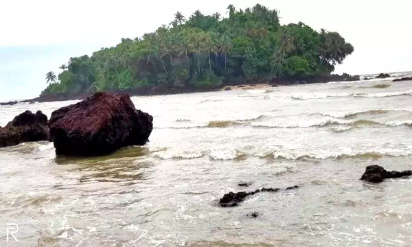 പച്ചപ്പ് മായില്ല; ധർമടം തുരുത്തും തകർക്കും