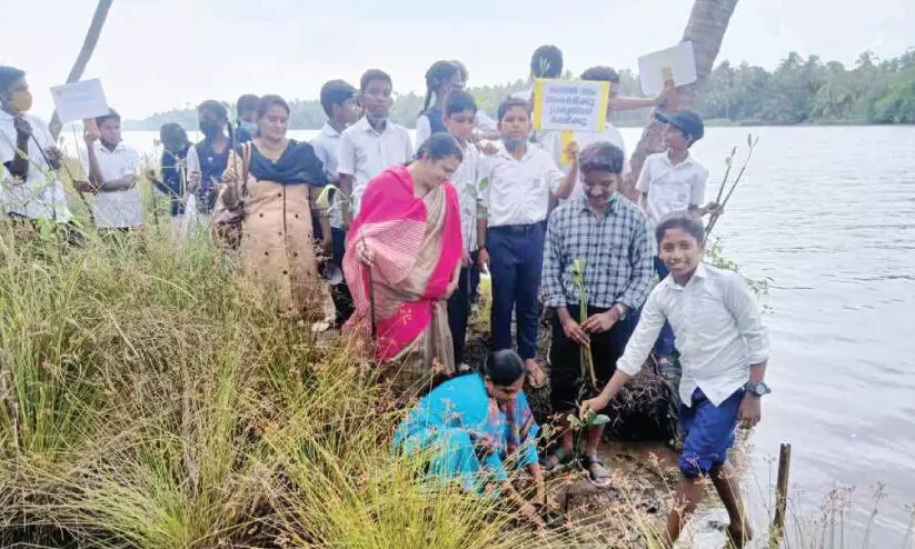 തീ​ര​സം​ര​ക്ഷ​ണ​ത്തി​ന്​ ക​ണ്ട​ൽ വ​ന​മൊ​രു​ക്കാ​ൻ വി​ദ്യാ​ർ​ഥി​ക​ൾ